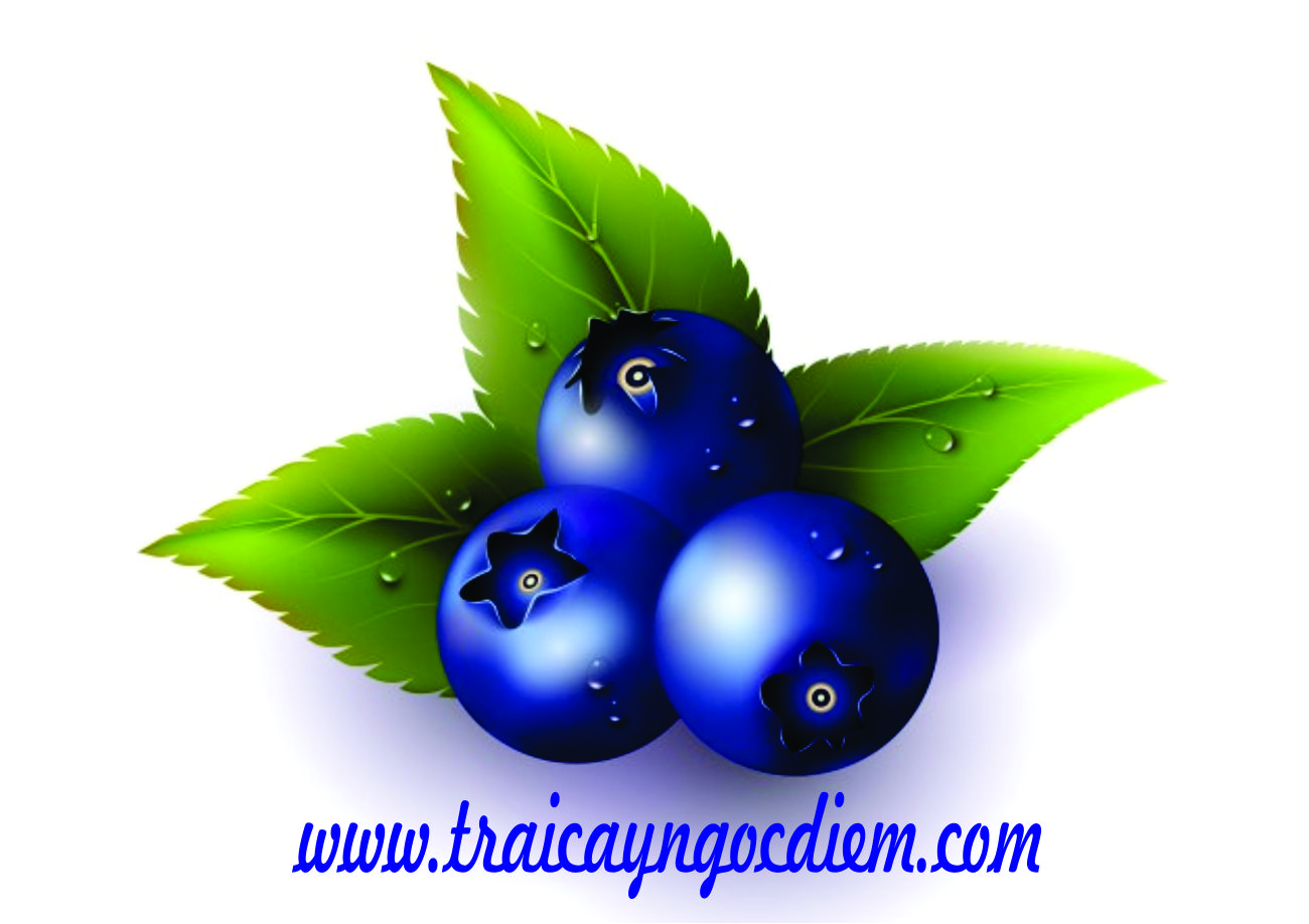 TRÁI CÂY NHẬP KHẪU NGỌC DIỄM 